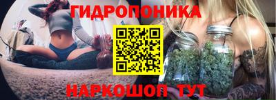 индика Изобильный