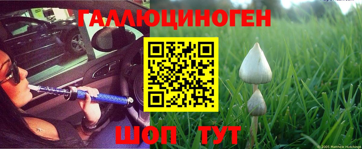Галлюциногенные грибы Psilocybe  Галлюциногенные грибы мицелий  Вход с VPN  Кызыл 
